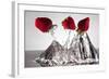 Three Stawberries FreshSplash-Steve Gadomski-Framed Photographic Print