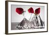 Three Stawberries FreshSplash-Steve Gadomski-Framed Photographic Print