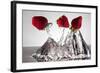 Three Stawberries FreshSplash-Steve Gadomski-Framed Photographic Print