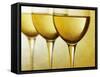 Three Stemmed Gasses of White Wine-Steve Lupton-Framed Stretched Canvas
