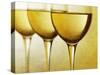 Three Stemmed Gasses of White Wine-Steve Lupton-Stretched Canvas