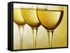 Three Stemmed Gasses of White Wine-Steve Lupton-Framed Stretched Canvas
