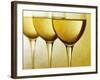 Three Stemmed Gasses of White Wine-Steve Lupton-Framed Photographic Print