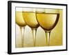 Three Stemmed Gasses of White Wine-Steve Lupton-Framed Photographic Print