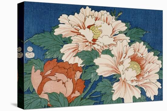 Three Stems of Peonies on a Blue Background, 1857-Ando Hiroshige-Stretched Canvas