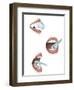 Three Steps of Proper Tooth Brushing-null-Framed Art Print