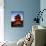 Three-Story Pagoda of Kiyomizu Temple (Kiyomizudera), Kyoto, Japan,-null-Photographic Print displayed on a wall