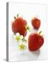 Three Strawberries-Klaus Arras-Stretched Canvas