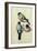 Three Studies of a Bullfinch-Albrecht Dürer-Framed Giclee Print