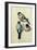 Three Studies of a Bullfinch-Albrecht Dürer-Framed Giclee Print