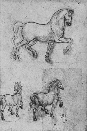 https://imgc.allpostersimages.com/img/posters/three-studies-of-horses-c1480-1945_u-L-Q1IENSI0.jpg?artPerspective=n