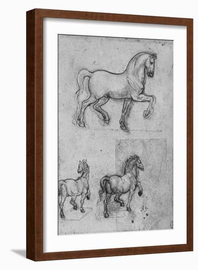 'Three Studies of Horses', c1480 (1945)-Leonardo Da Vinci-Framed Giclee Print