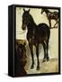 Three Studies of Horses; Trois Etudes De Chevaux, C.1823-Eugene Delacroix-Framed Stretched Canvas