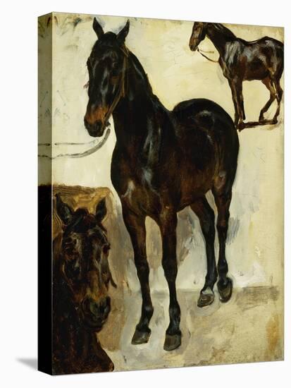 Three Studies of Horses; Trois Etudes De Chevaux, C.1823-Eugene Delacroix-Stretched Canvas