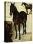 Three Studies of Horses; Trois Etudes De Chevaux, C.1823-Eugene Delacroix-Stretched Canvas