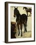 Three Studies of Horses-Eugene Delacroix-Framed Giclee Print