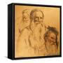 Three Studies of Leo Tolstoy (1828-1910)-Ilya Efimovich Repin-Framed Stretched Canvas