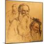 Three Studies of Leo Tolstoy (1828-1910)-Ilya Efimovich Repin-Mounted Giclee Print