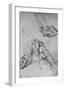 'Three Studies of the Paws of a Dog or Wolf', c1480 (1945)-Leonardo Da Vinci-Framed Giclee Print