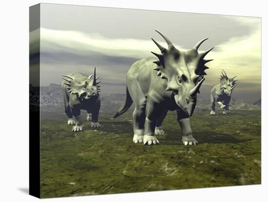 Three Styracosaurus Dinosaurs-null-Stretched Canvas