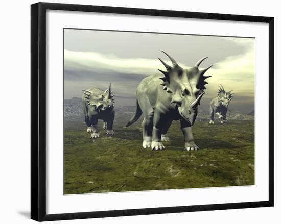 Three Styracosaurus Dinosaurs-null-Framed Art Print
