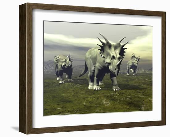 Three Styracosaurus Dinosaurs-null-Framed Art Print