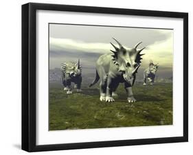 Three Styracosaurus Dinosaurs-null-Framed Art Print