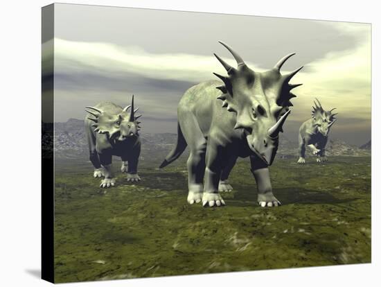 Three Styracosaurus Dinosaurs-null-Stretched Canvas