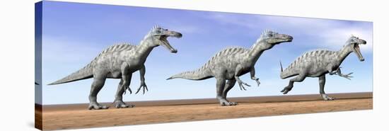 Three Suchomimus Dinosaurs Standing in the Desert-null-Stretched Canvas