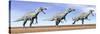 Three Suchomimus Dinosaurs Standing in the Desert-null-Stretched Canvas