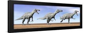 Three Suchomimus Dinosaurs Standing in the Desert-null-Framed Art Print