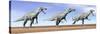 Three Suchomimus Dinosaurs Standing in the Desert-null-Stretched Canvas