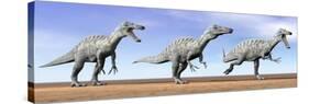 Three Suchomimus Dinosaurs Standing in the Desert-null-Stretched Canvas