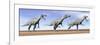 Three Suchomimus Dinosaurs Standing in the Desert-null-Framed Art Print