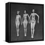 Three Sun Bathers Soaking Up Rays-Allan Grant-Framed Stretched Canvas