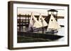 Three Sunfish II-Alan Hausenflock-Framed Photographic Print