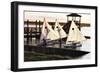 Three Sunfish II-Alan Hausenflock-Framed Photographic Print