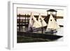 Three Sunfish II-Alan Hausenflock-Framed Photographic Print