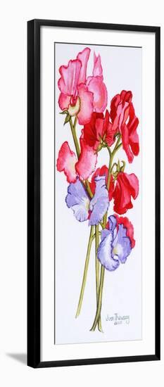 Three Sweet Peas 2011-Joan Thewsey-Framed Giclee Print