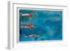 Three Swimmers, 2023 (W/C)-Graham Dean-Framed Giclee Print