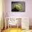 Three Tennis Balls-null-Framed Stretched Canvas displayed on a wall