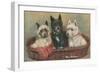 Three Terriers in a Basket-null-Framed Premium Giclee Print