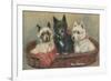 Three Terriers in a Basket-null-Framed Art Print