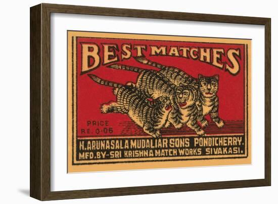 Three Tiger - Best Matches-null-Framed Art Print