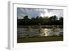 Three Tisza Mayflies (Palingenia Longicauda) Taking Off, Tisza River, Hungary, June 2009-Radisics-Framed Photographic Print