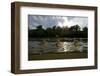 Three Tisza Mayflies (Palingenia Longicauda) Taking Off, Tisza River, Hungary, June 2009-Radisics-Framed Photographic Print