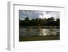 Three Tisza Mayflies (Palingenia Longicauda) Taking Off, Tisza River, Hungary, June 2009-Radisics-Framed Photographic Print