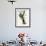 Three Toed Woodpecker-null-Framed Giclee Print displayed on a wall