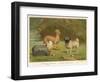 Three Toy Dogs, a Pug an Italian Greyhound and a Yorkshire Terrier-null-Framed Photographic Print