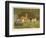 Three Toy Dogs, a Pug an Italian Greyhound and a Yorkshire Terrier-null-Framed Photographic Print